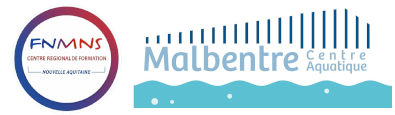 Certificat d'Aptitude à l'Exercice de la Profession de Maître-Nageur Sauveteur (CAEPMNS)