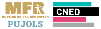 BTS Services et Prestations des Secteurs Sanitaire et Social (SP3S)